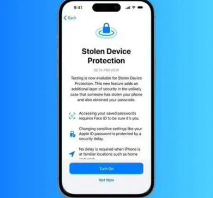 长武苹果授权维修店分享被盗设备保护功能开启方法 