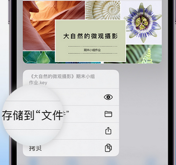 长武apple维修中心分享iPhone文件应用中存储和找到下载文件