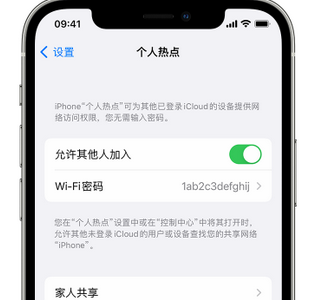 长武apple服务站点分享iPhone上个人热点丢失了怎么办