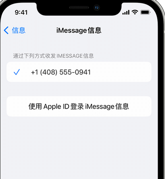 长武apple维修iPhone上无法正常发送iMessage信息 