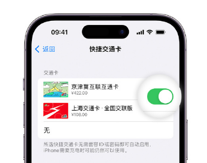 长武apple维修点分享iPhone上更换Apple Pay快捷交通卡手绘卡面 