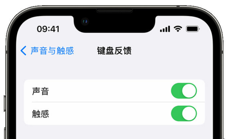 长武苹果手机维修分享iPhone 14触感键盘使用方法 