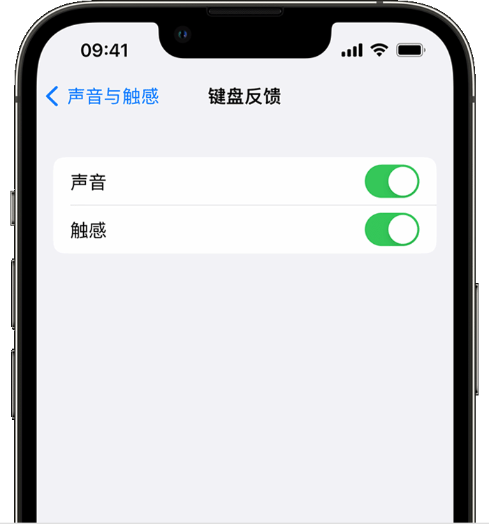 长武苹果14维修店分享如何在 iPhone 14 机型中使用触感键盘 