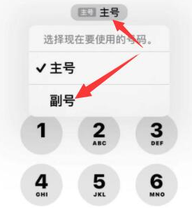 长武苹果14维修店分享iPhone 14 Pro Max使用副卡打电话的方法 