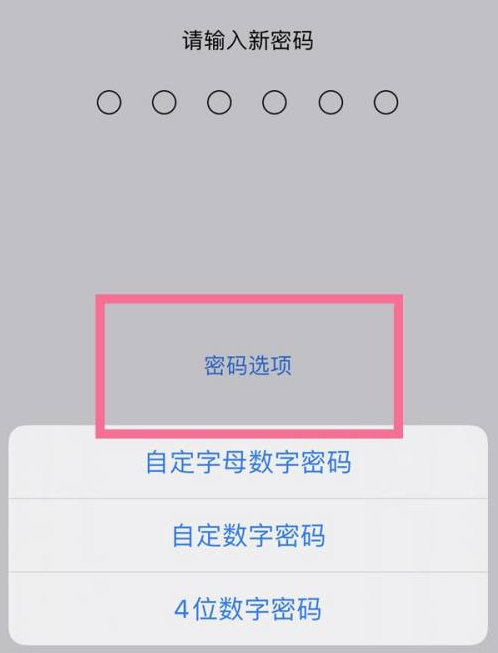 长武苹果14维修分享iPhone 14plus设置密码的方法 