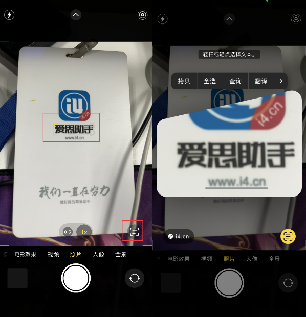 长武苹果手机维修分享升级iOS 16后如何通过相机翻译文本 