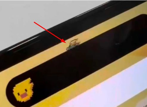 长武苹果14维修分享iPhone 14 Pro Max灵动岛怎么养宠物 
