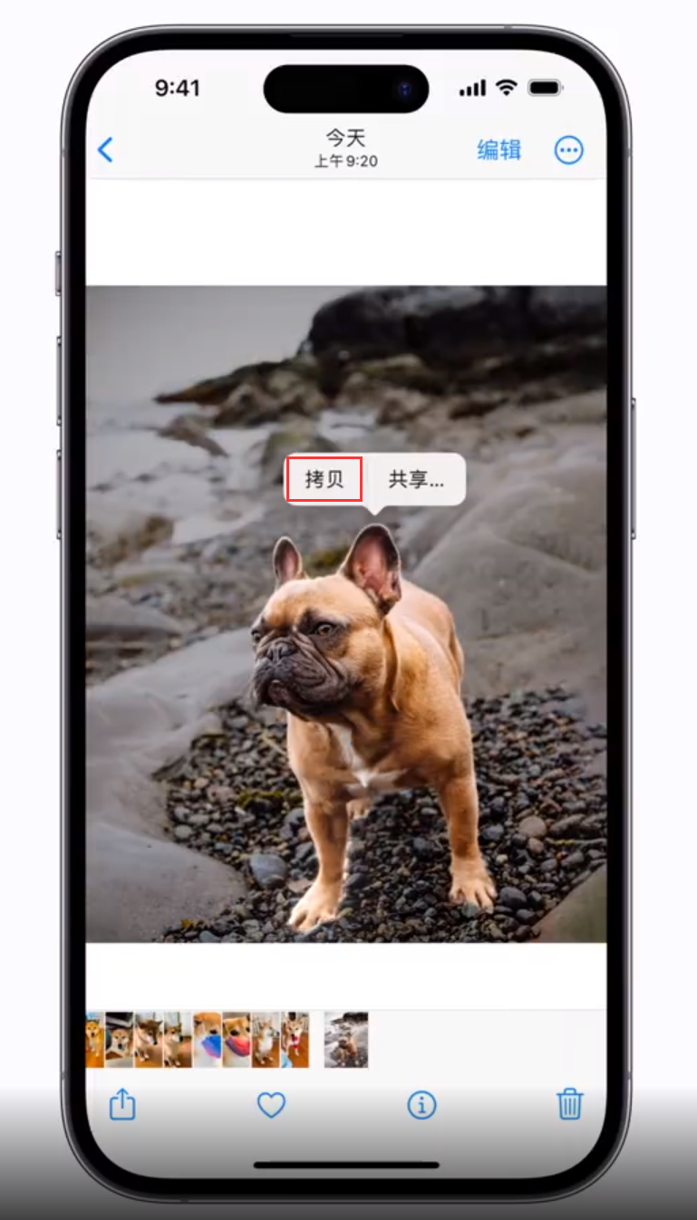 长武苹果手机维修分享 iOS 16 自带一键抠图功能 