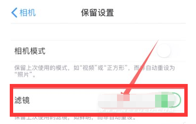 长武苹果13维修分享iPhone13拍照有绿点是怎么回事 