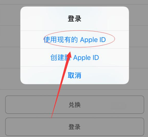 长武苹果手机维修分享两台iPhone设备可以同时登录一个Apple ID吗 