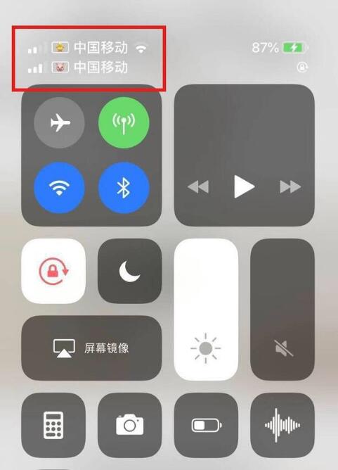 长武苹果手机维修分享为 iPhone 12 双卡设置标签 