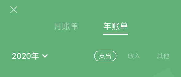 长武苹果手机维修分享如何在 iPhone 上查看支付宝和微信年支出账单 